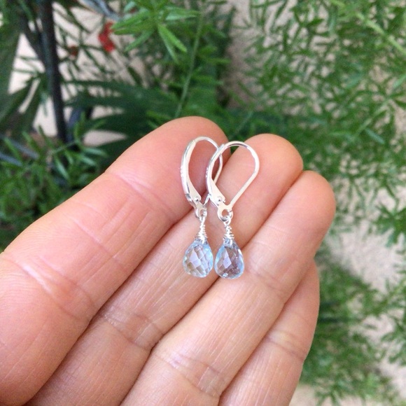 Sterling Silver Aquamarine Sundance Charm Earrings - Picture 6 of 9